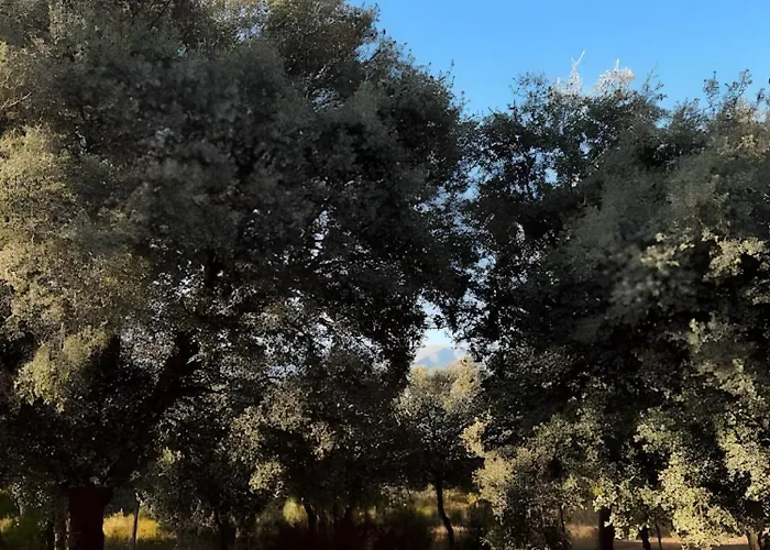 Casa En El Valle Del Tietar *